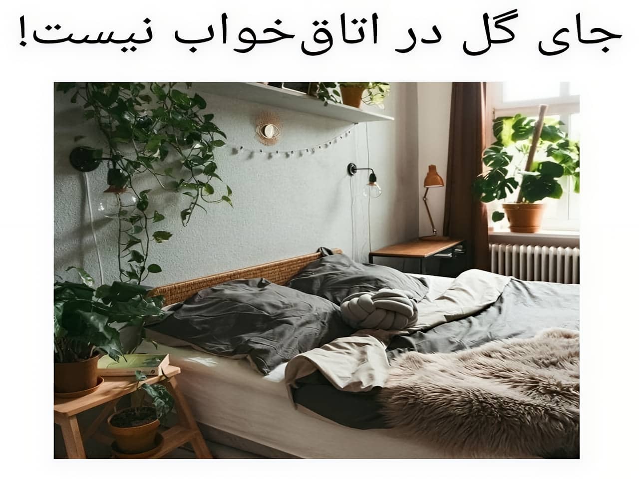 گل و گیاه در اتاق خواب: نکات فنگ شویی