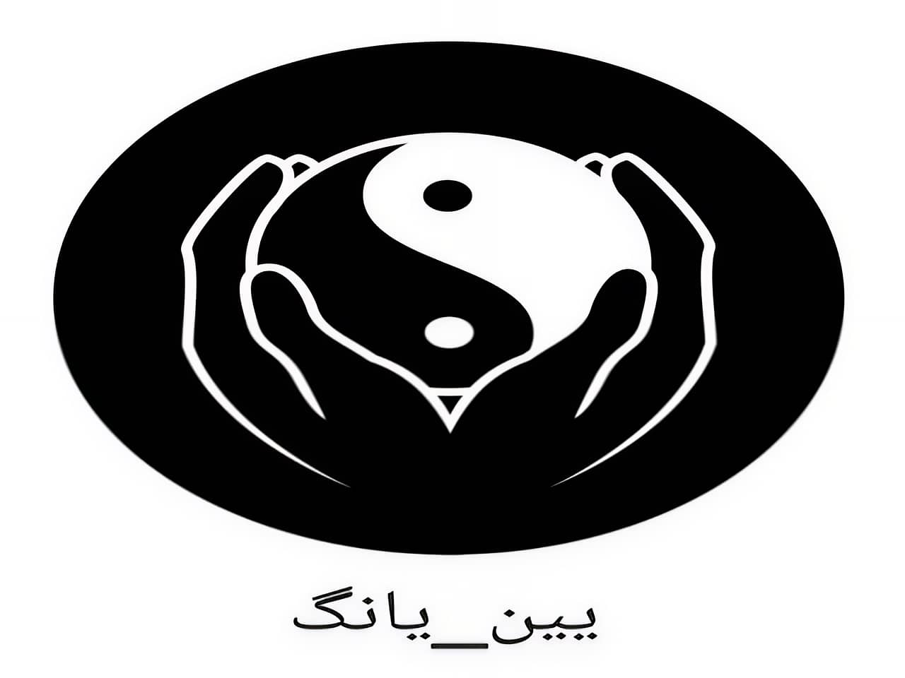 یین و یانگ: متضاد و مکمل