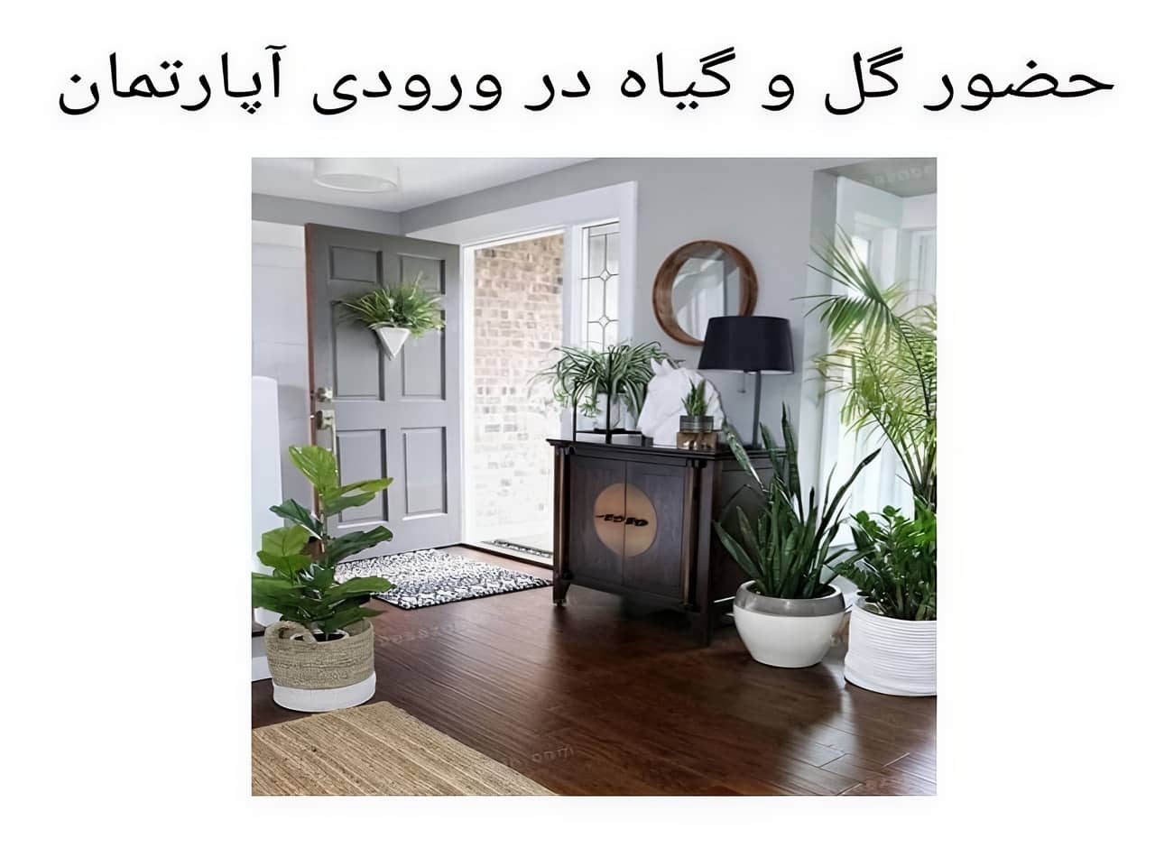 جادوی زندگی با گل و گیاه